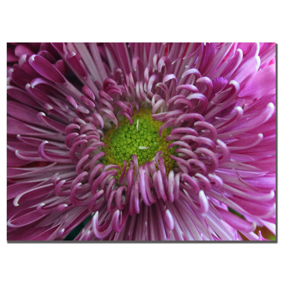 Patty Tuggle Pink Flower 14 x 19 Canvas Art Image 1