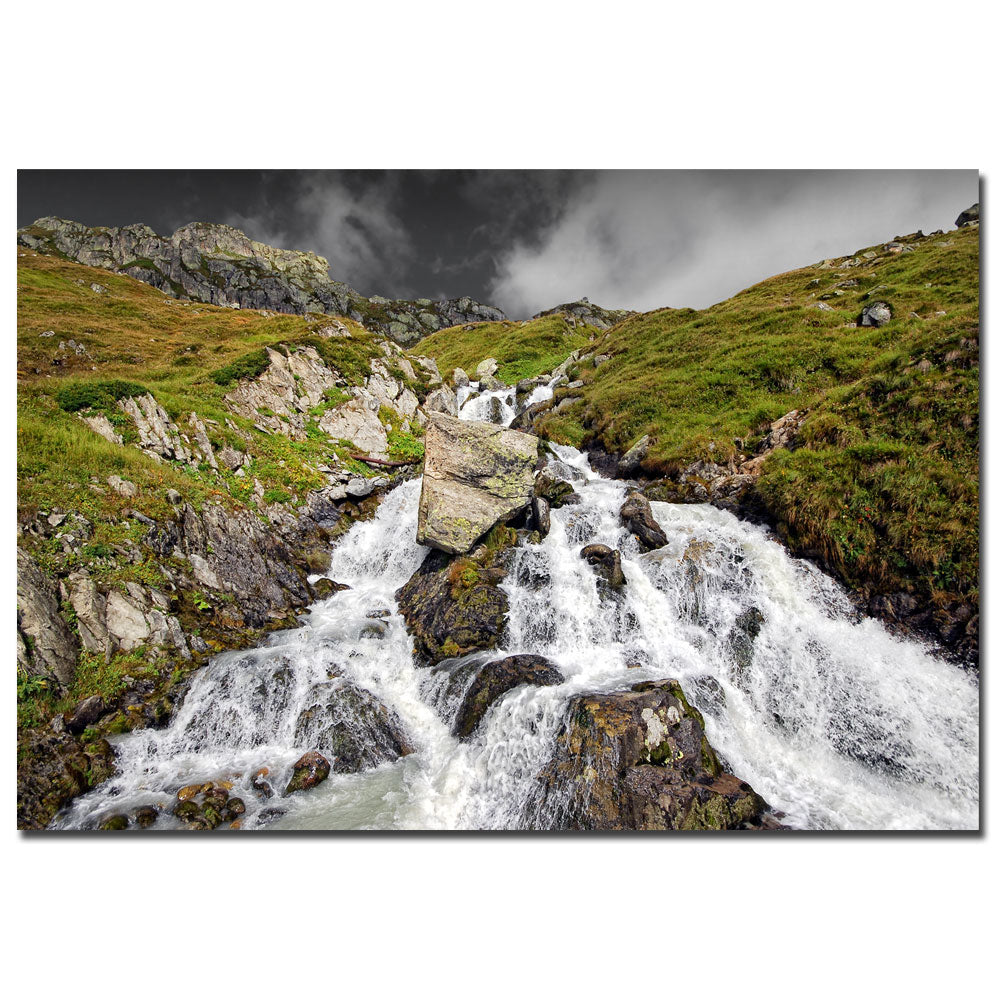 Philippe Sainte-Laudy Vert dEau 14 x 19 Canvas Art Image 1