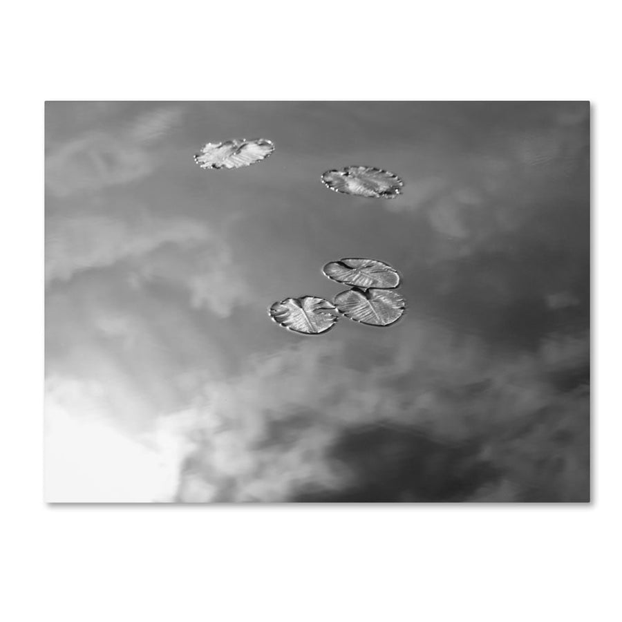 Patty Tuggle Lily Pads and Sky 14 x 19 Canvas Art Image 1