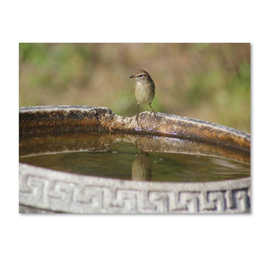 Patty Tuggle Little Bird 14 x 19 Canvas Art Image 1