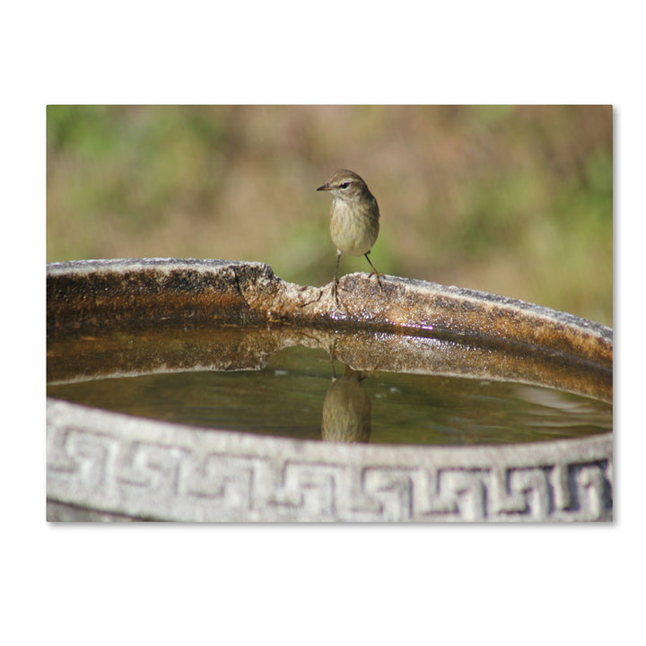 Patty Tuggle Little Bird 14 x 19 Canvas Art Image 1