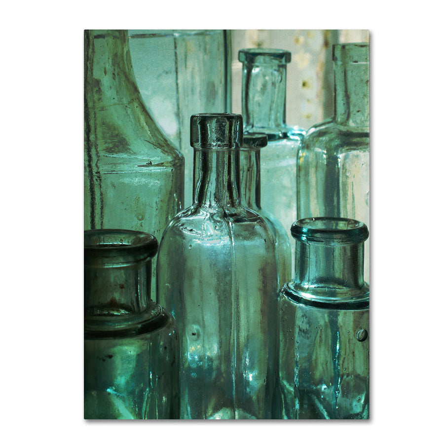 Patty Tuggle Antique Bottles 14 x 19 Canvas Art Image 1