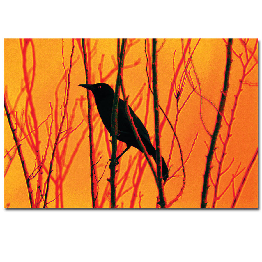 Patty Tuggle Blackbird Dreams 14 x 19 Canvas Art Image 1