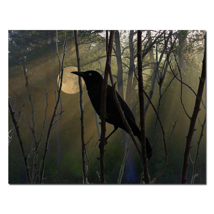 Patty Tuggle Nevermore Night and Day 14 x 19 Canvas Art Image 1