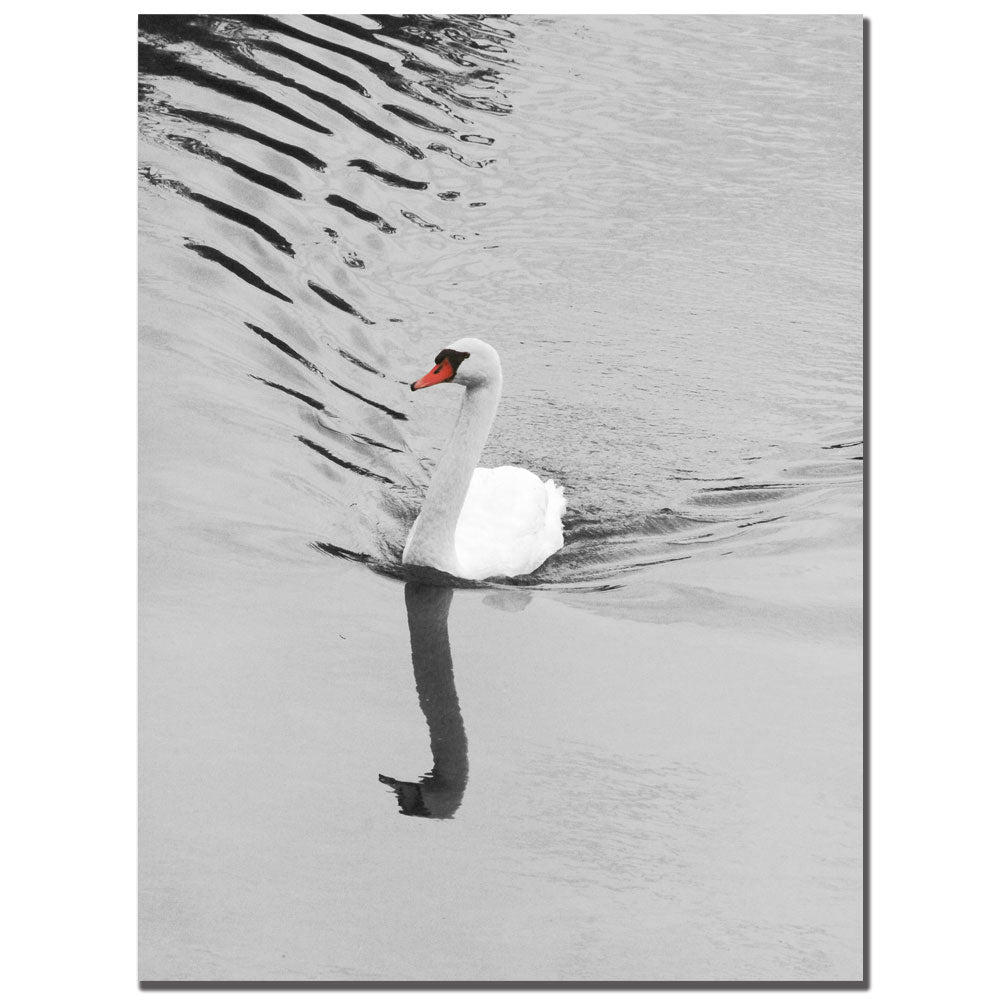 Patty Tuggle Swan 14 x 19 Canvas Art Image 1