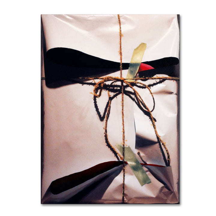 Roderick Stevens White Wrap With Twine 14 x 19 Canvas Art Image 2