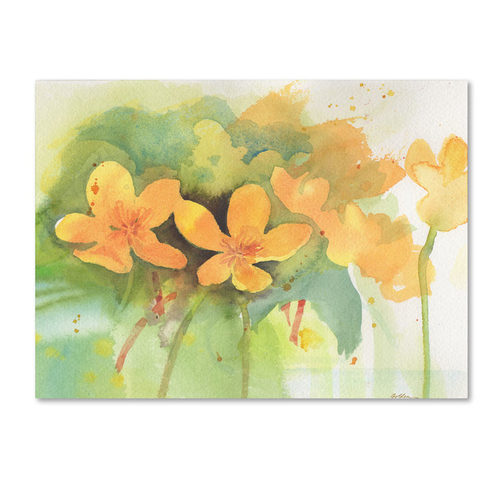 Sheila Golden Marigold Moment 14 x 19 Canvas Art Image 1