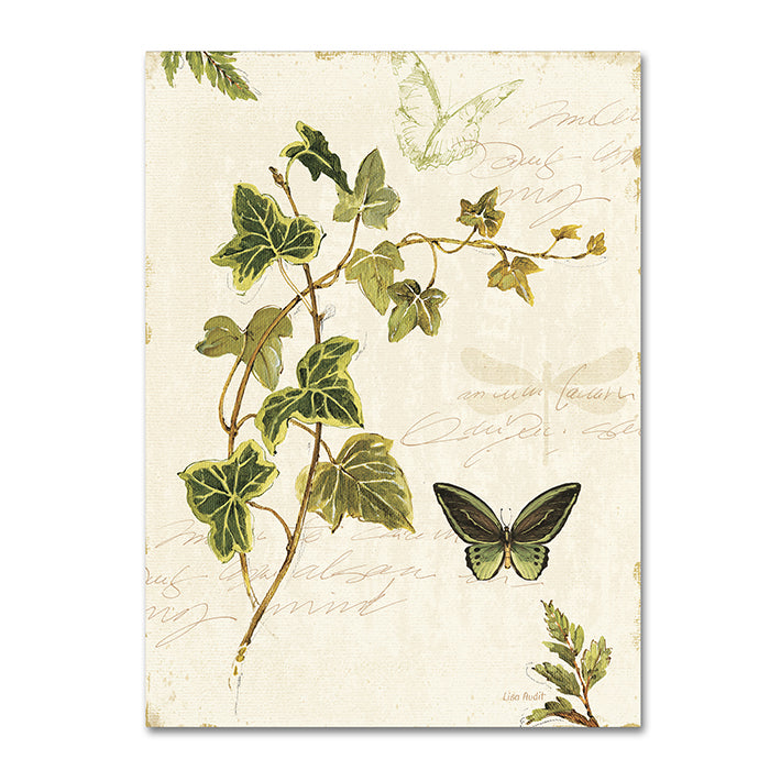 Lisa Audit Ivies and Ferns IV 14 x 19 Canvas Art Image 1