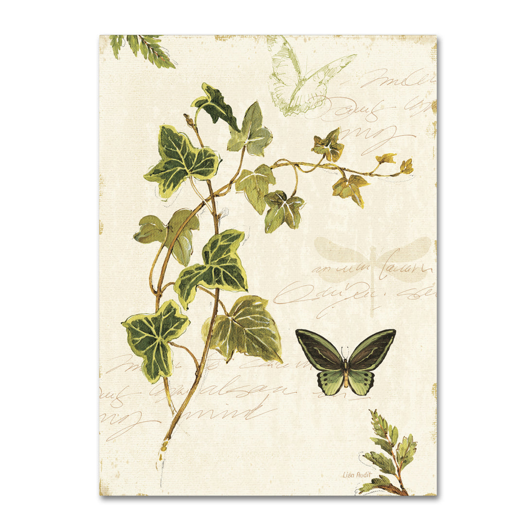 Lisa Audit Ivies and Ferns IV 14 x 19 Canvas Art Image 2