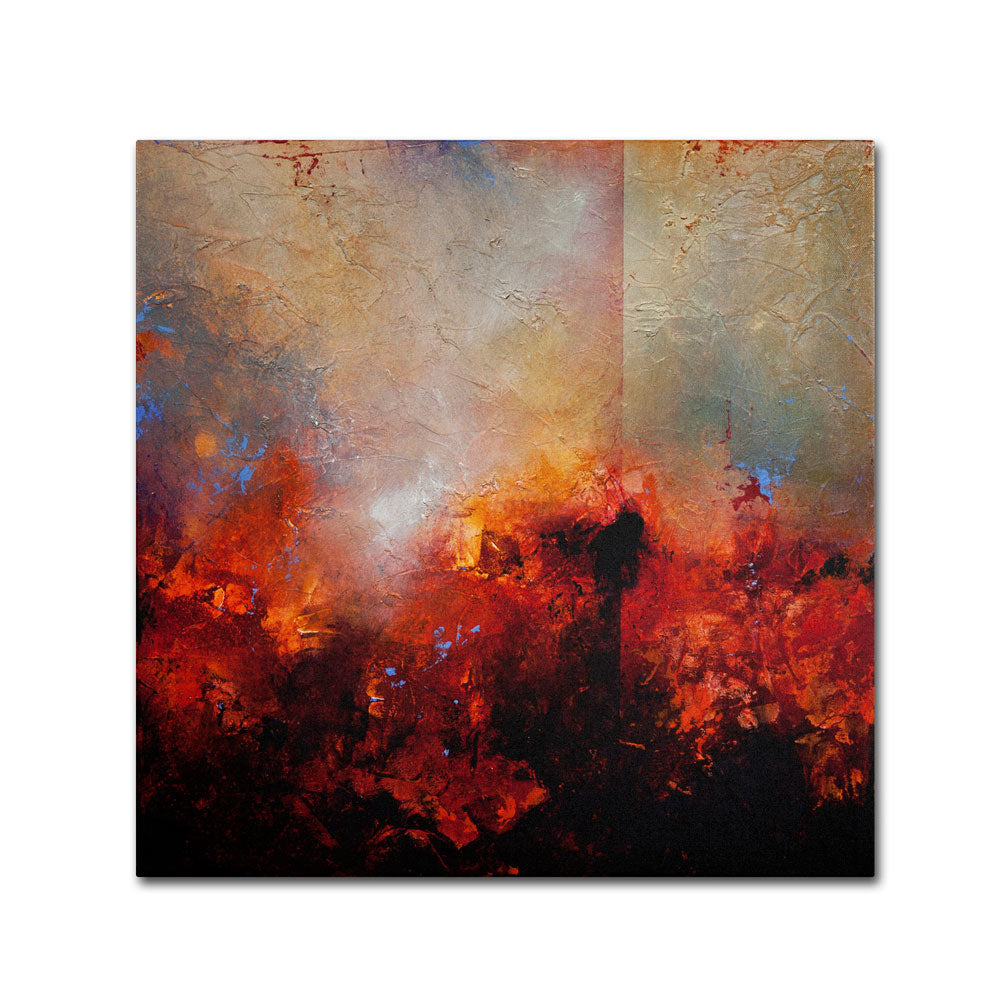 Cody Hooper Red Earth Canvas Wall Art 14 x 14 Image 1