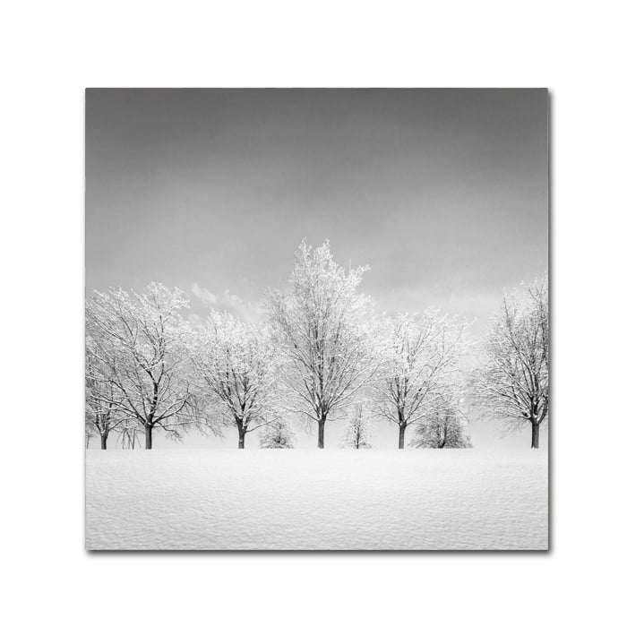 Dave MacVicar Ice Storm Canvas Wall Art 14 x 14 Image 1