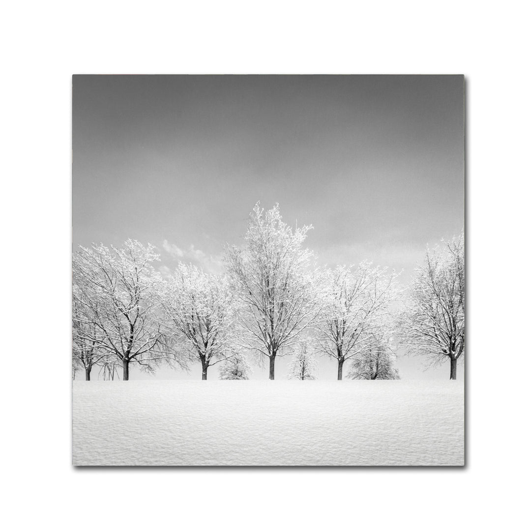 Dave MacVicar Ice Storm Canvas Wall Art 14 x 14 Image 2