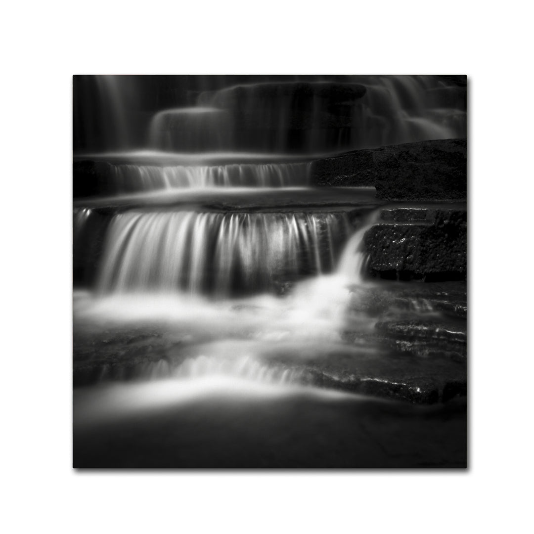 Dave MacVicar Cascade Canvas Wall Art 14 x 14 Image 2