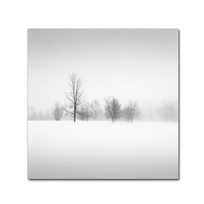 Dave MacVicar Winter Fog Canvas Wall Art 14 x 14 Image 1