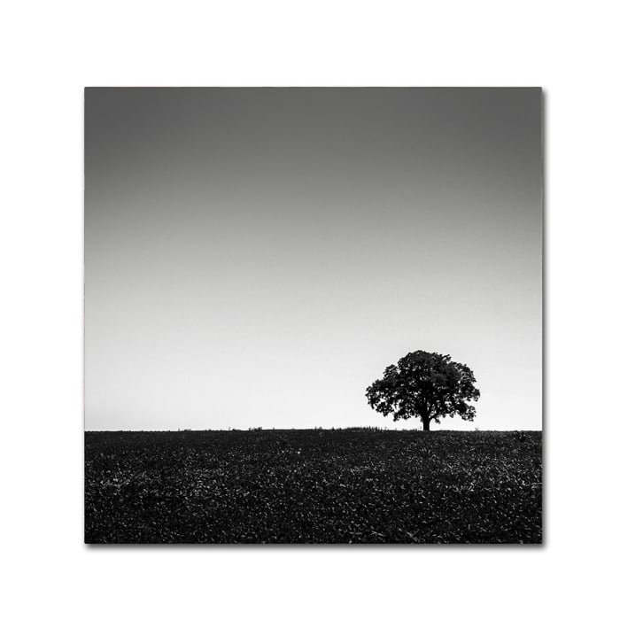 Dave MacVicar One Tree Hill Canvas Wall Art 14 x 14 Image 1