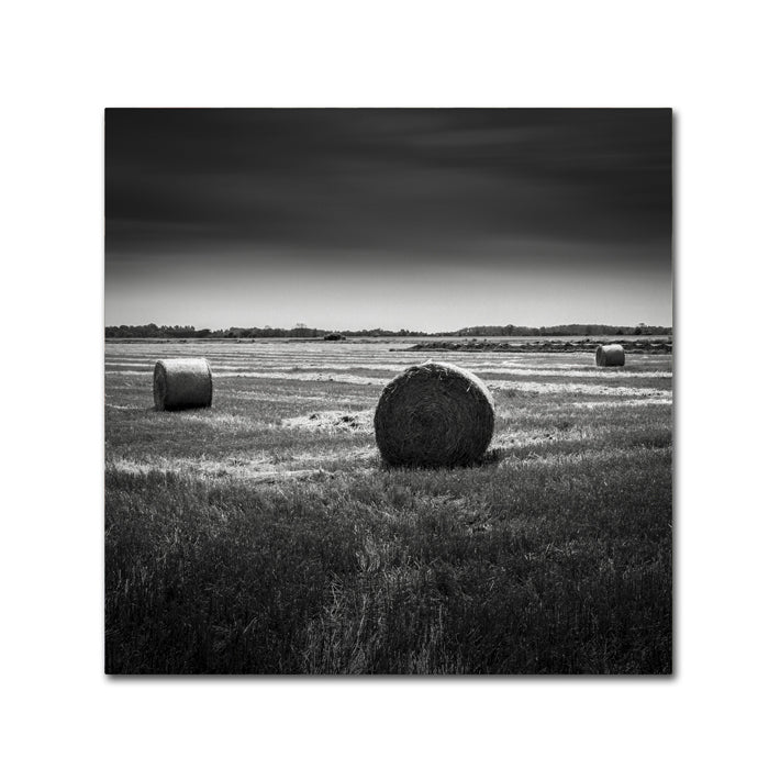 Dave MacVicar Rural Canvas Wall Art 14 x 14 Image 1