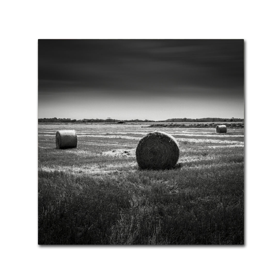 Dave MacVicar Rural Canvas Wall Art 14 x 14 Image 2