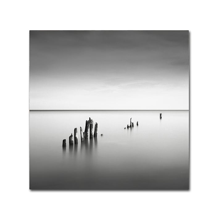 Dave MacVicar Slow Fade Canvas Wall Art 14 x 14 Image 1