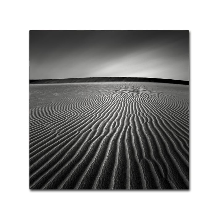 Dave MacVicar Ripples Canvas Wall Art 14 x 14 Image 1