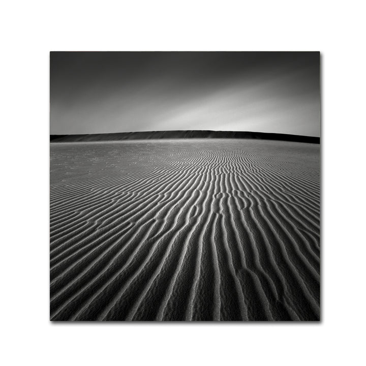 Dave MacVicar Ripples Canvas Wall Art 14 x 14 Image 2