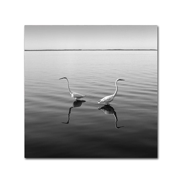 Moises Levy 2 Herons Canvas Wall Art 14 x 14 Image 1