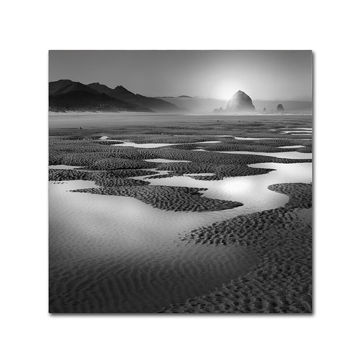 Moises Levy Path Canvas Wall Art 14 x 14 Image 1