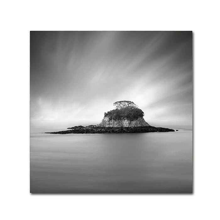 Moises Levy Rat Island Canvas Wall Art 14 x 14 Image 1