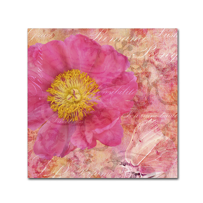 Cora Niele Peony - Feminine Beauty Canvas Wall Art 14 x 14 Image 1