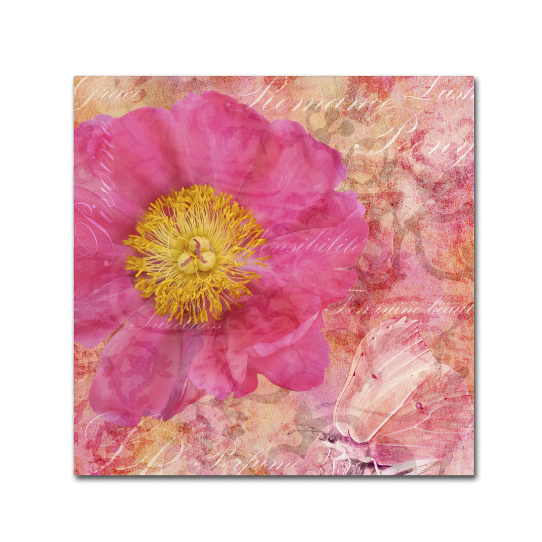 Cora Niele Peony - Feminine Beauty Canvas Wall Art 14 x 14 Image 2