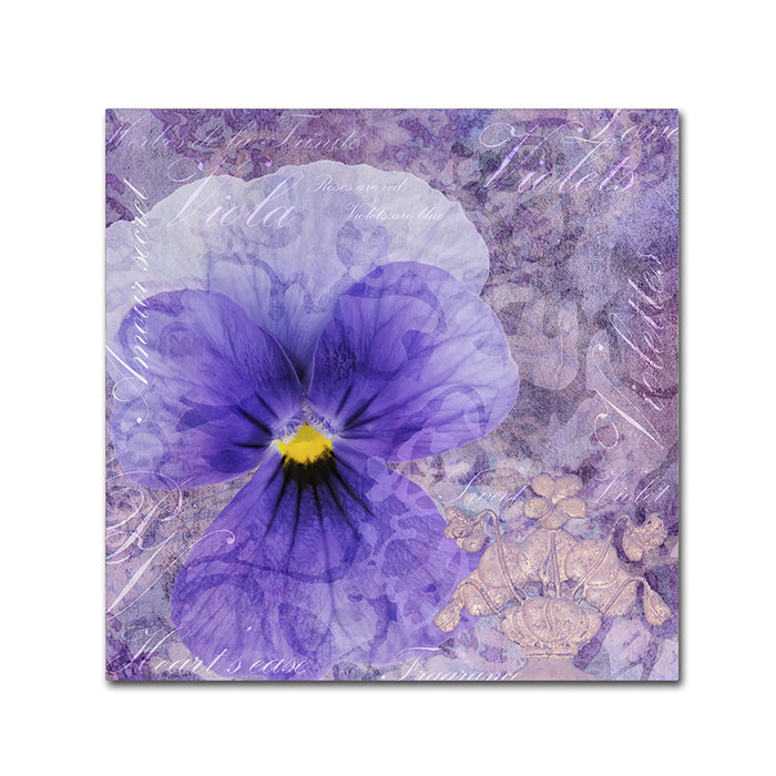 Cora Niele Viola - Secret Love Canvas Wall Art 14 x 14 Image 1