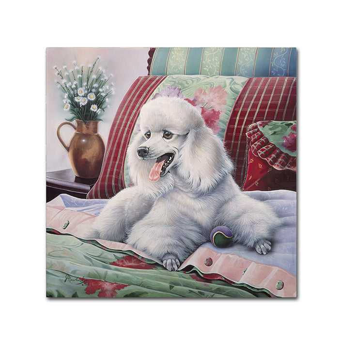 Jenny Newland White Poodle Canvas Wall Art 14 x 14 Image 1