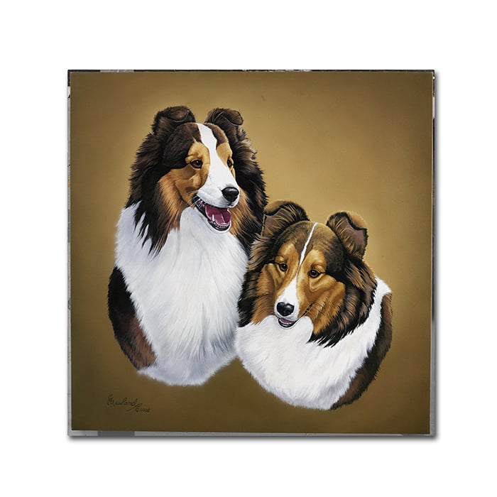 Jenny Newland Collies 2 Canvas Wall Art 14 x 14 Image 1