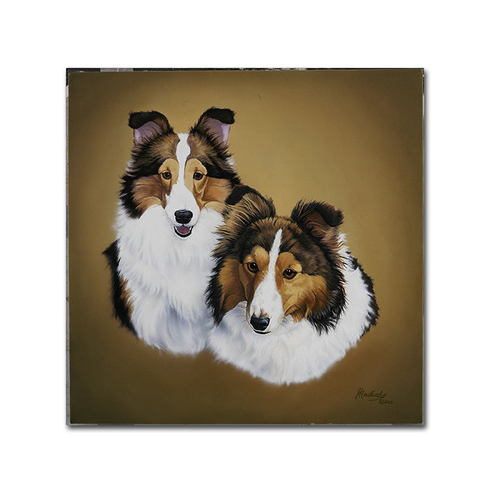 Jenny Newland Collies 1 Canvas Wall Art 14 x 14 Image 1