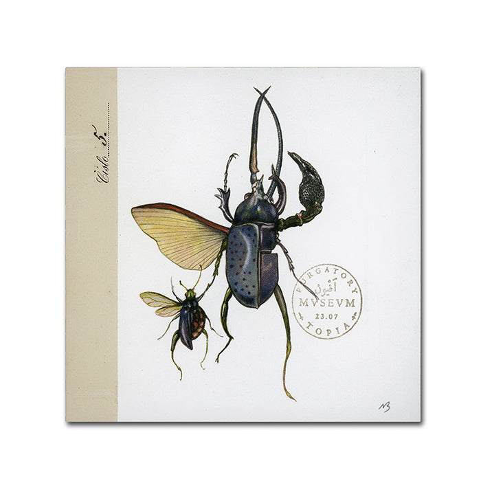 Nick Bantock Morph Insects Canvas Wall Art 14 x 14 Image 1