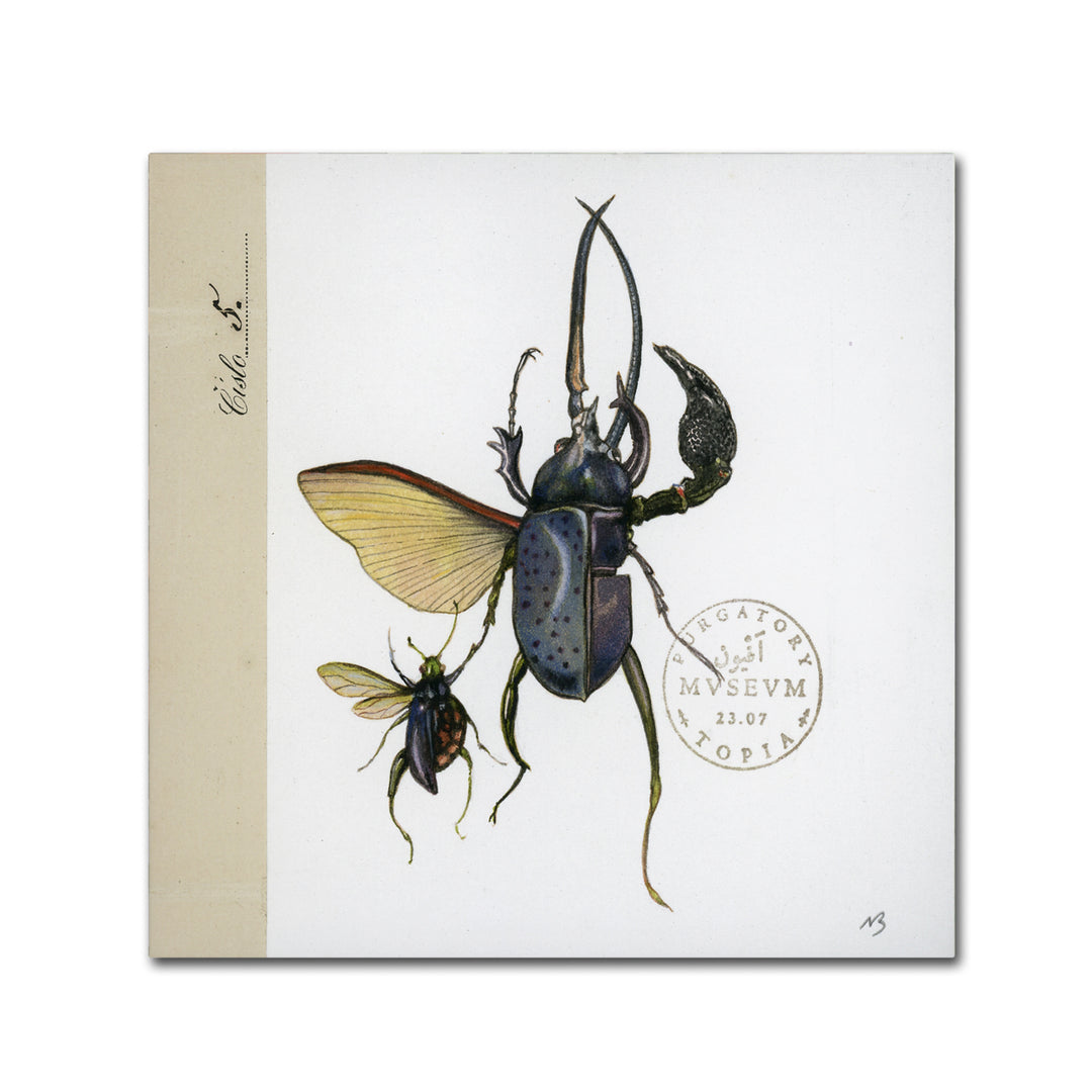 Nick Bantock Morph Insects Canvas Wall Art 14 x 14 Image 2