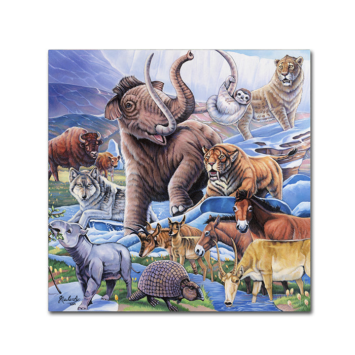 Jenny Newland Ice Age Color Canvas Wall Art 14 x 14 Image 1