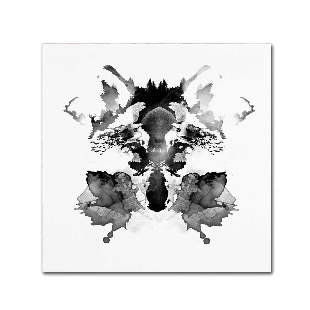 Robert Farkas Rorschach Canvas Wall Art 14 x 14 Image 2