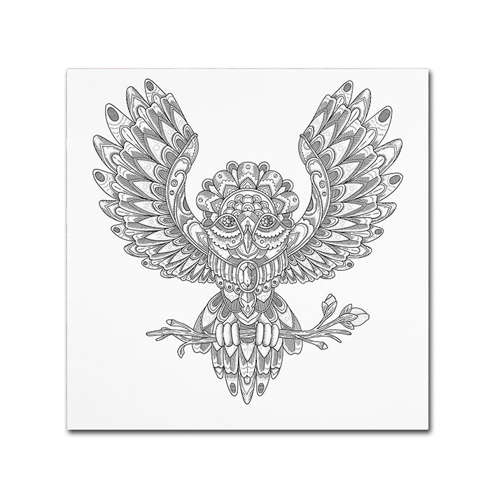 Filippo Cardu Jewel Owl Canvas Wall Art 14 x 14 Image 1