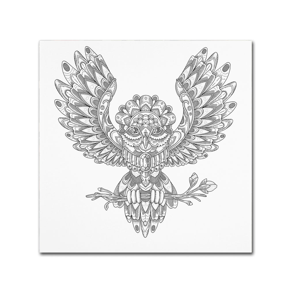 Filippo Cardu Jewel Owl Canvas Wall Art 14 x 14 Image 2