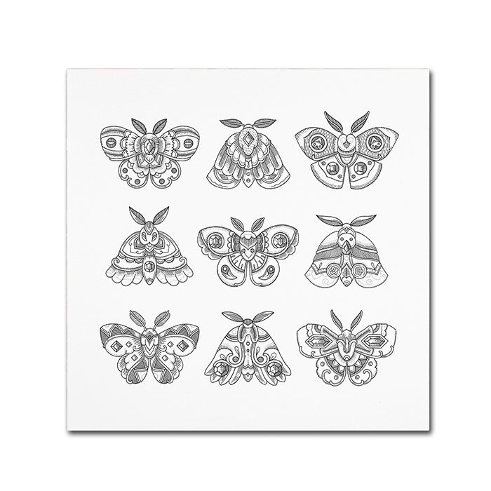 Filippo Cardu Moths Canvas Wall Art 14 x 14 Image 1