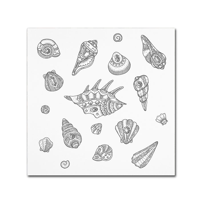 Filippo Cardu Shells Canvas Wall Art 14 x 14 Image 1