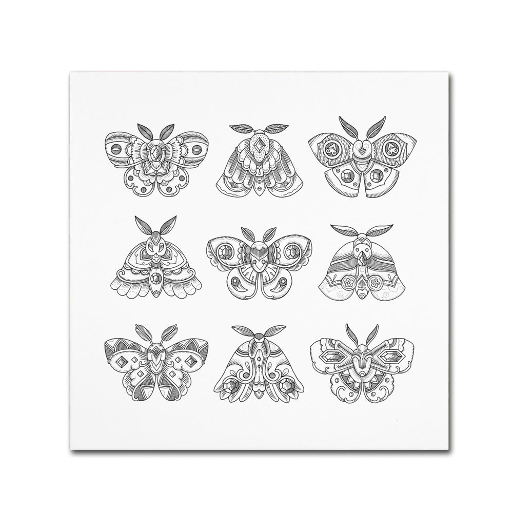 Filippo Cardu Moths Canvas Wall Art 14 x 14 Image 2