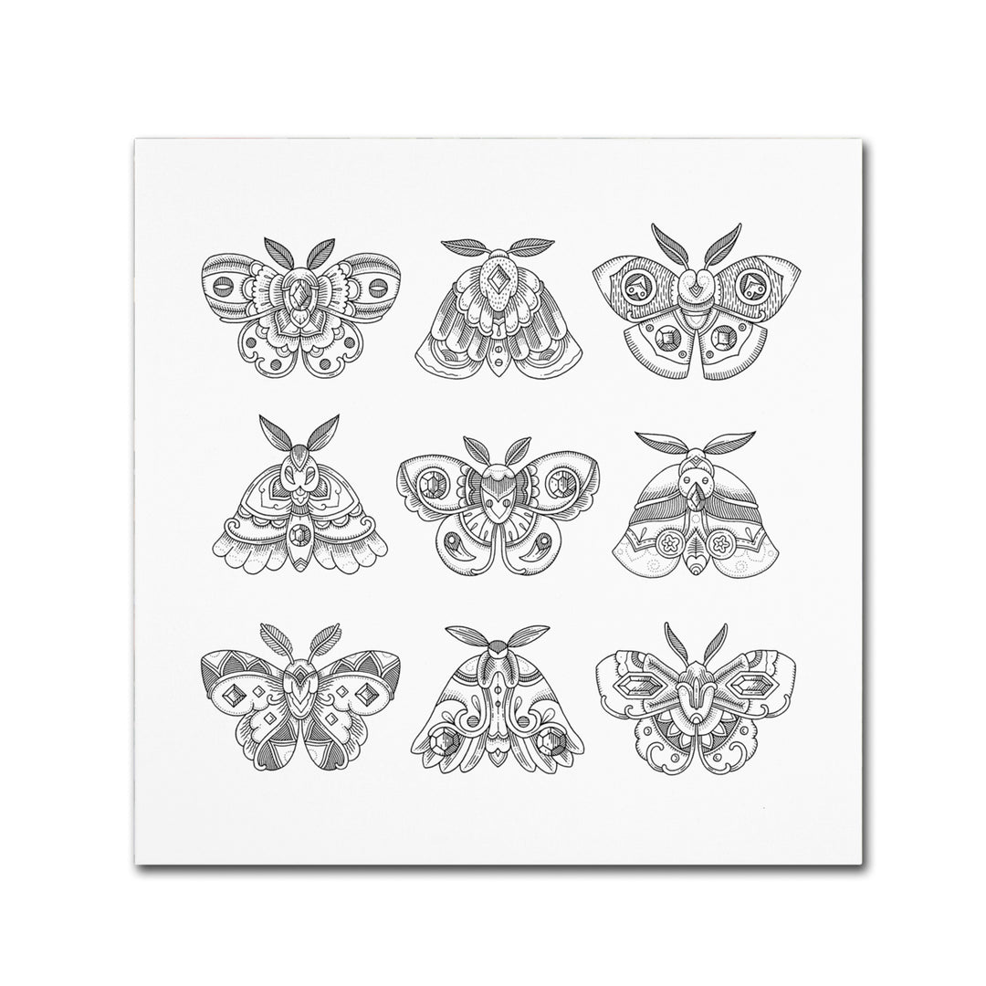 Filippo Cardu Moths Canvas Wall Art 14 x 14 Image 2