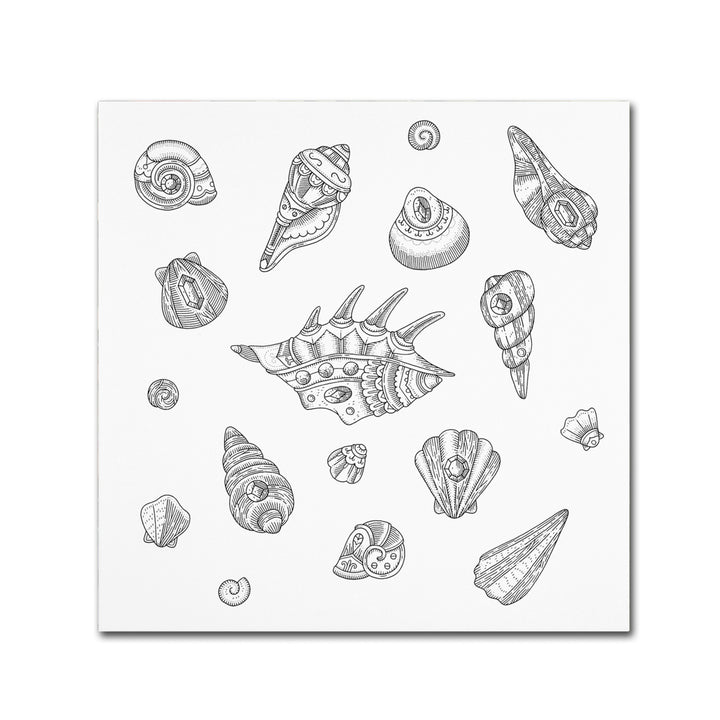 Filippo Cardu Shells Canvas Wall Art 14 x 14 Image 2