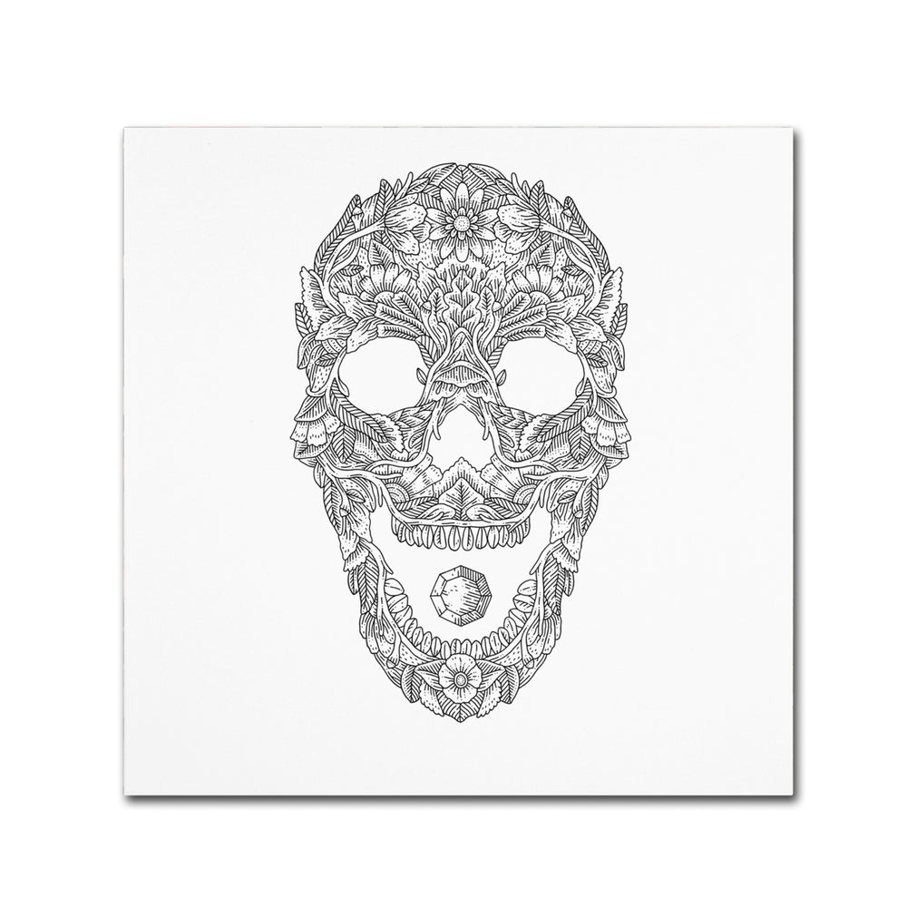 Filippo Cardu Forest Skull Canvas Wall Art 14 x 14 Image 2