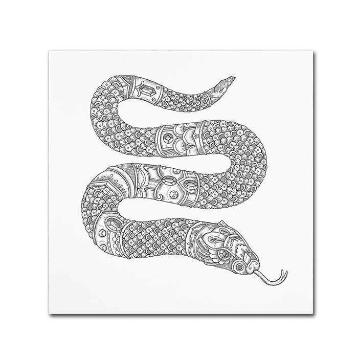 Filippo Cardu Jewel Snake Canvas Wall Art 14 x 14 Image 1