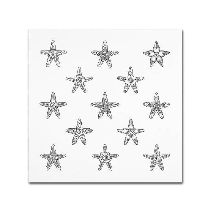 Filippo Cardu Sea Stars Canvas Wall Art 14 x 14 Image 1