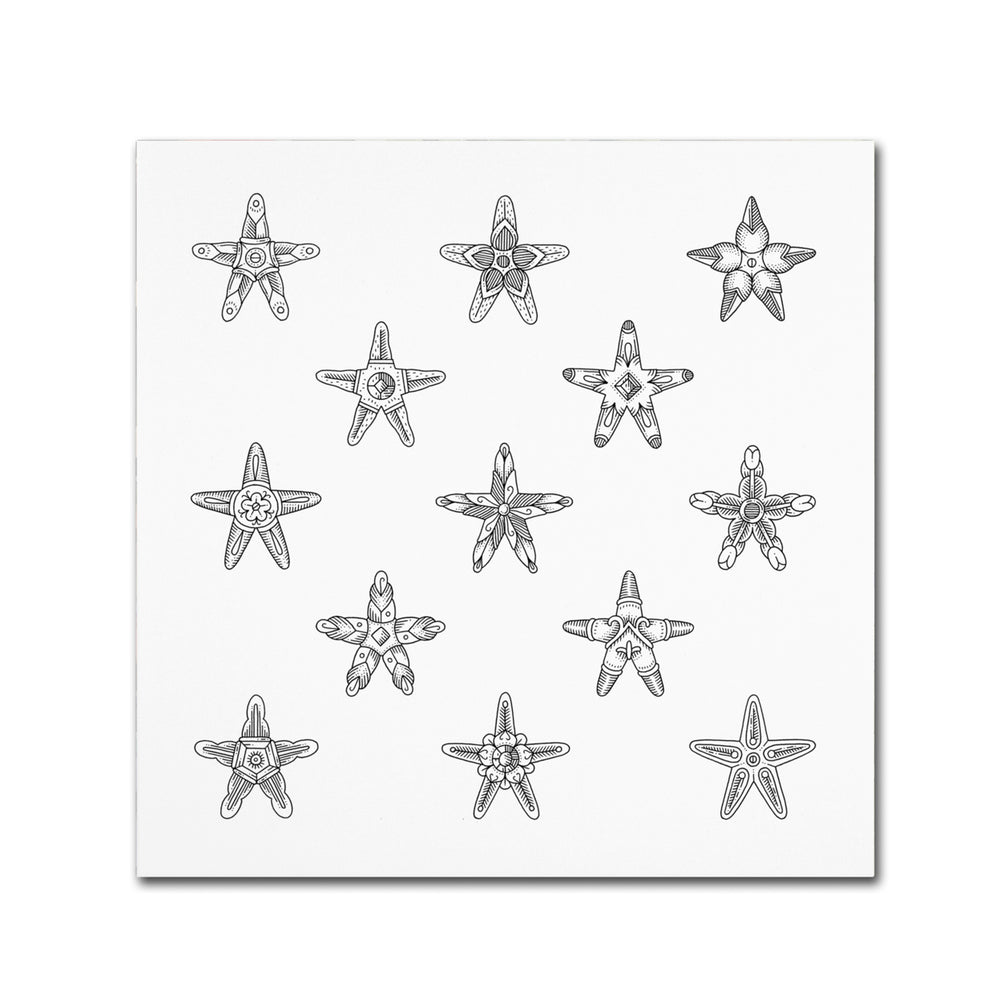 Filippo Cardu Sea Stars Canvas Wall Art 14 x 14 Image 2