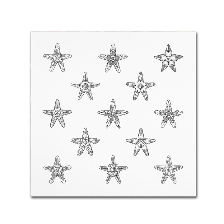 Filippo Cardu Sea Stars Canvas Wall Art 14 x 14 Image 2