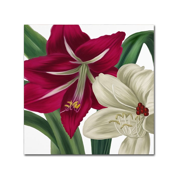 Color Bakery Christmas Amaryllis I Canvas Wall Art 14 x 14 Image 1